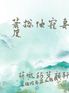 萧总他宠妻太无度
