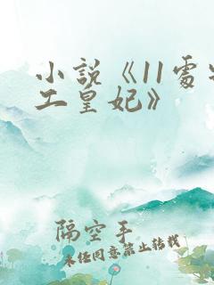 小说《11处特工皇妃》