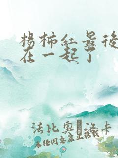 杨柿红最后和谁在一起了