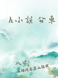 h小说 公车