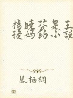 杨晓芬是王磊的后妈的小说小说全文在线阅读