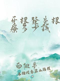 牙根发炎根管治疗多少钱