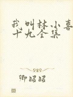 我叫林小喜今年十九全集