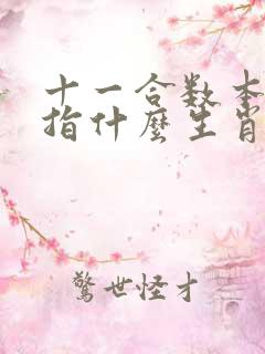十一合数本期取指什么生肖