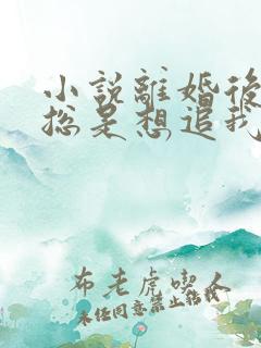 小说离婚后前夫总是想追我下载