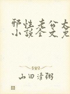 邪性老公太霸道小说全文免费阅读
