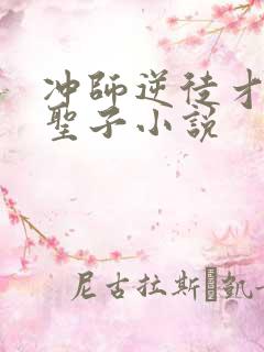 冲师逆徒才不是圣子小说