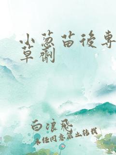 小葱苗后专用除草剂