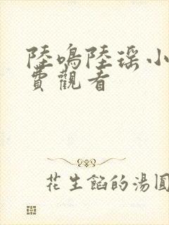 陆鸣陆瑶小说免费观看