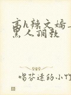 高h辣文娇妻被黑人调教