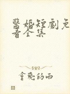 医婚短剧免费观看全集