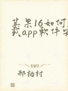 苹果16如何下载app软件安装
