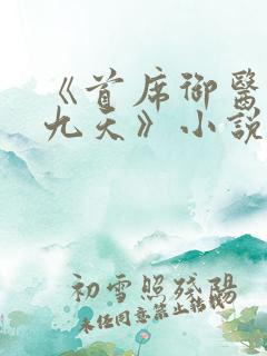 《首席御医银河九天》小说