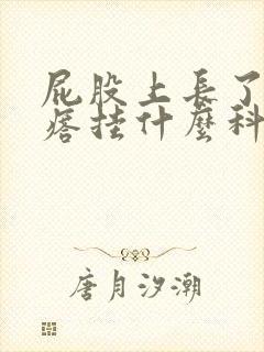屁股上长了硬疙瘩挂什么科