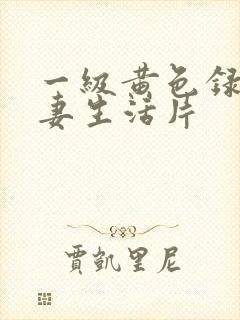 一级黄色录像夫妻生活片