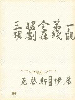 玉昭令第一季电视剧在线观看免费谍战迷
