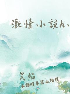 激情小说h小说