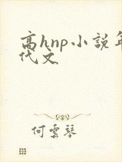 高hnp小说年代文