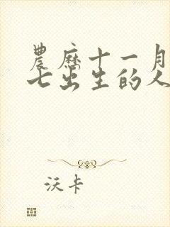 农历十一月二十七出生的人命运如何