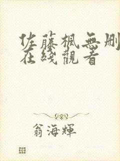 佐藤枫无删减版在线观看