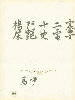 杨门十二寡妇肉床艳史电子书
