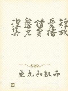涅盘错爱短剧全集免费播放