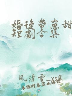 婚后带崽甜蜜蜜短剧合集