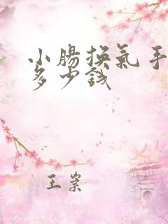 小肠换气手术得多少钱