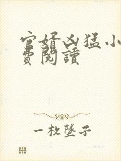 官婿凶猛小说免费阅读