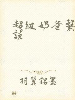 超级奶爸系统小说