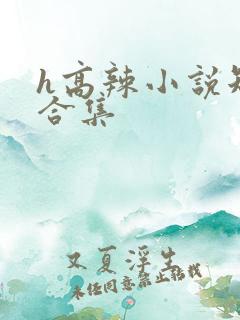 h高辣小说短文合集