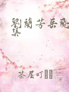 刘兰芳岳飞传全集 刘兰芳岳飞传全集