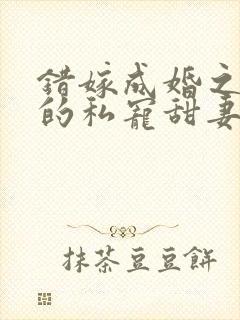 错嫁成婚之总裁的私宠甜妻免费阅读