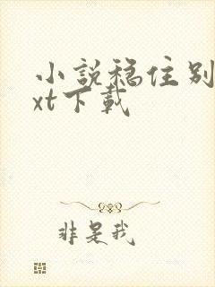 小说稳住别浪txt下载