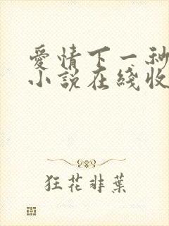 爱情下一秒有声小说在线收听