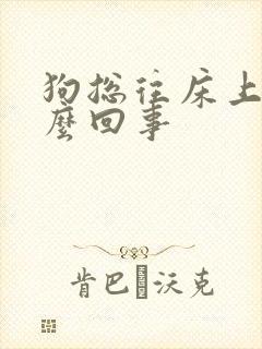 狗总往床上尿怎么回事