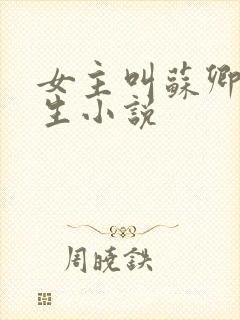 女主叫苏卿的重生小说