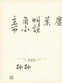 主角叫叶尘的都市小说