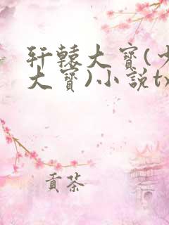 轩辕大宝(少年大宝)小说txt