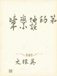 暗恋他的第十一年小说