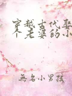 穿越古代娶了八个老婆的小说推荐
