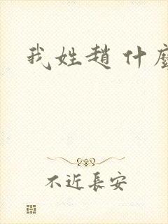 我姓赵 什么赵