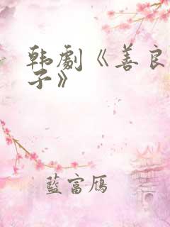 韩剧《善良的妻子》