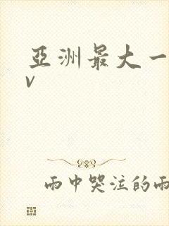 亚洲最大一区av