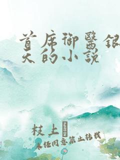 首席御医银河九天的小说