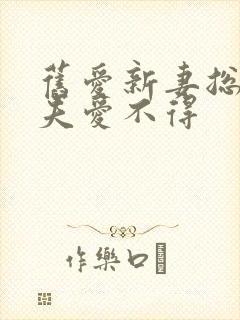 旧爱新妻总裁前夫爱不得