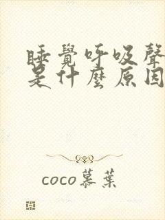 睡觉呼吸声很重是什么原因