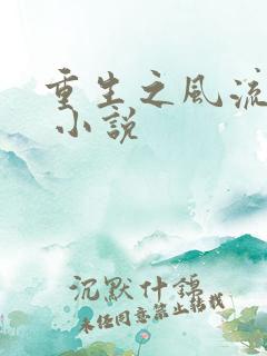 重生之风流仕途 小说