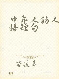 中年人的人生感悟短句