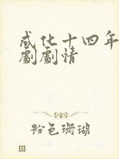 成化十四年电视剧剧情
